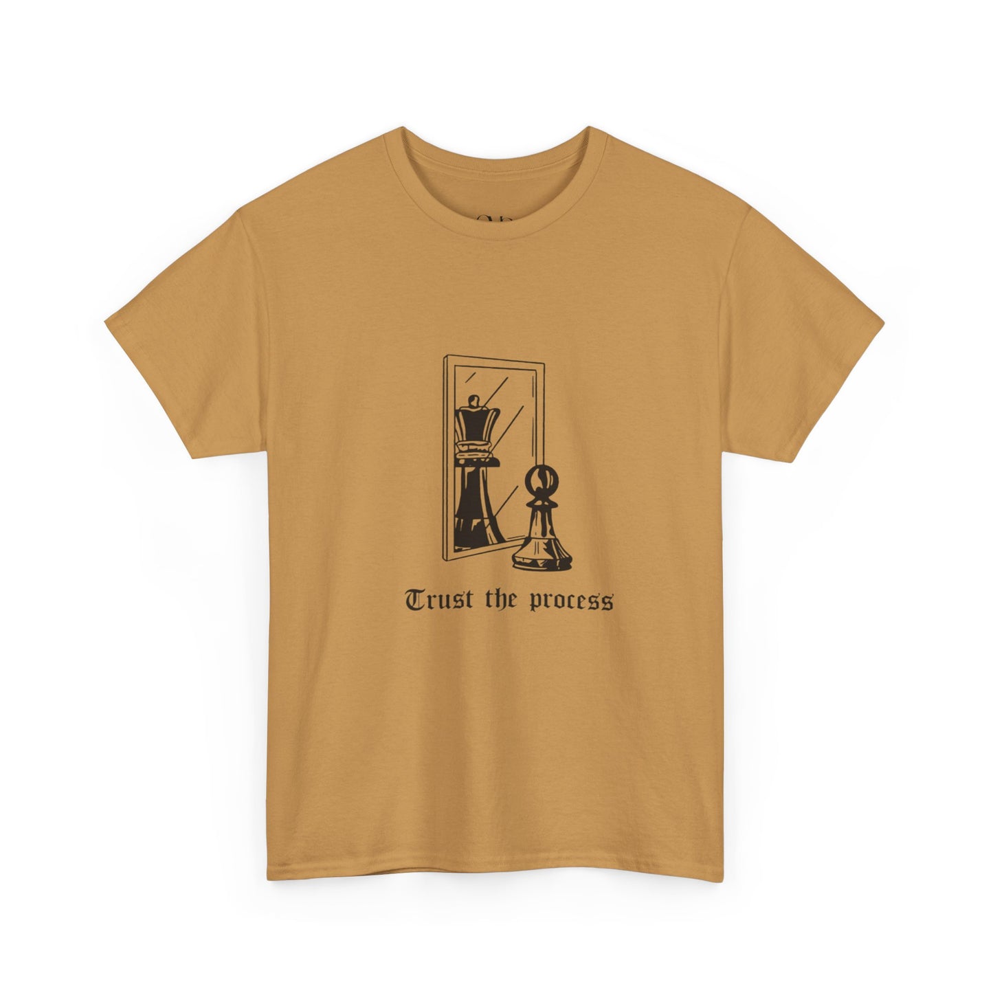 Trust the Process T-shirt
