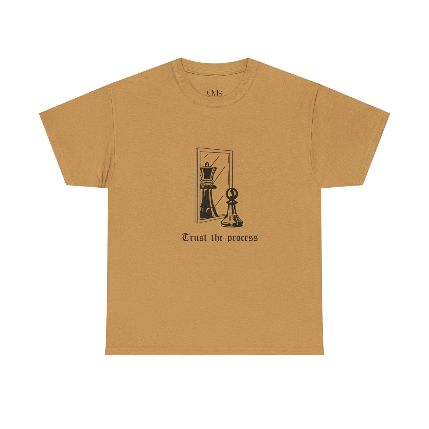 Trust the Process T-shirt